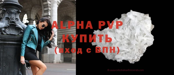 гидра Абаза