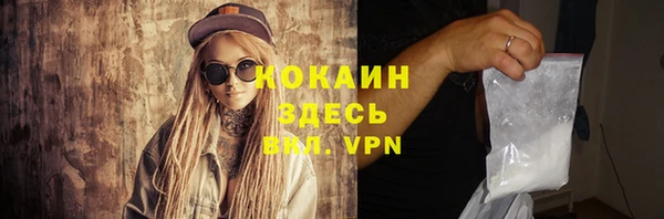 гидра Абаза