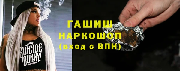 гидра Абаза