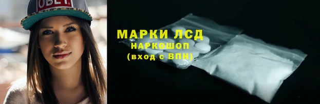 гидра Абаза
