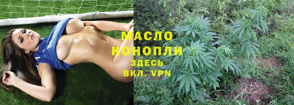 гидра Абаза