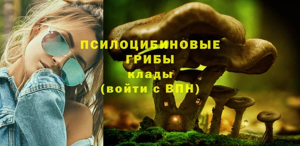 гидра Абаза