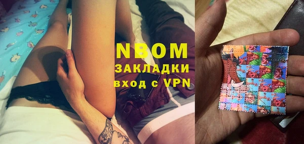 индика Сафоново