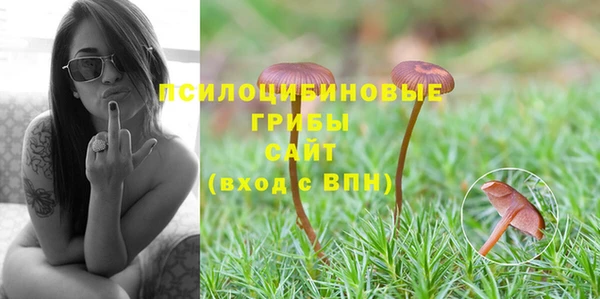 Альфа ПВП Сатка