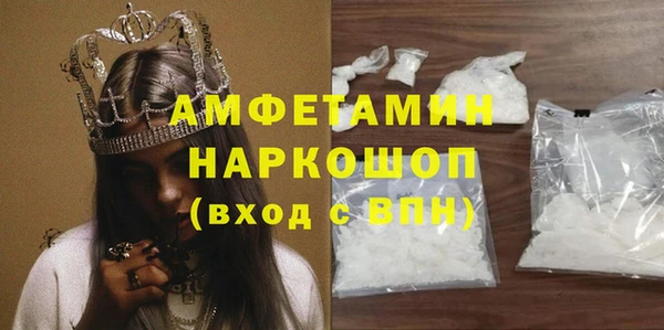 ешки Алексин